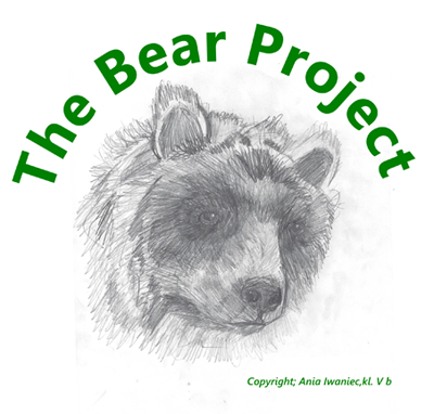The Bear Project